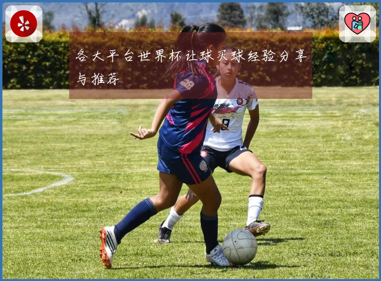各大平台世界杯让球买球经验分享与推荐