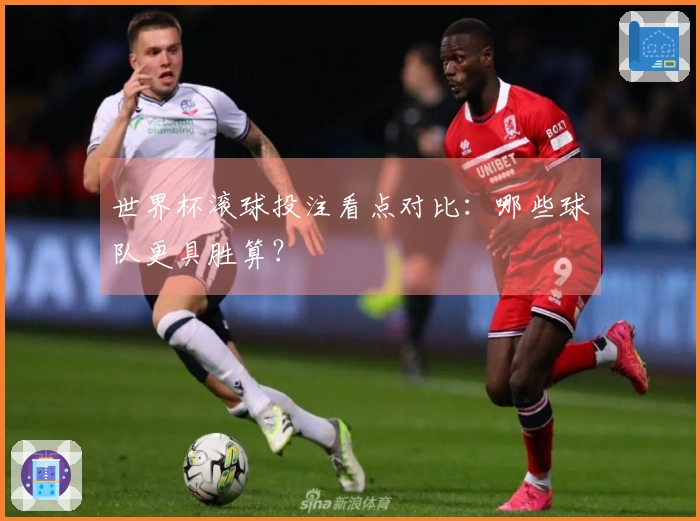 世界杯滚球投注看点对比：哪些球队更具胜算？