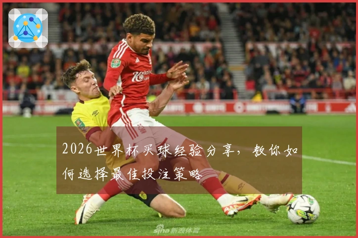 2026世界杯买球经验分享，教你如何选择最佳投注策略