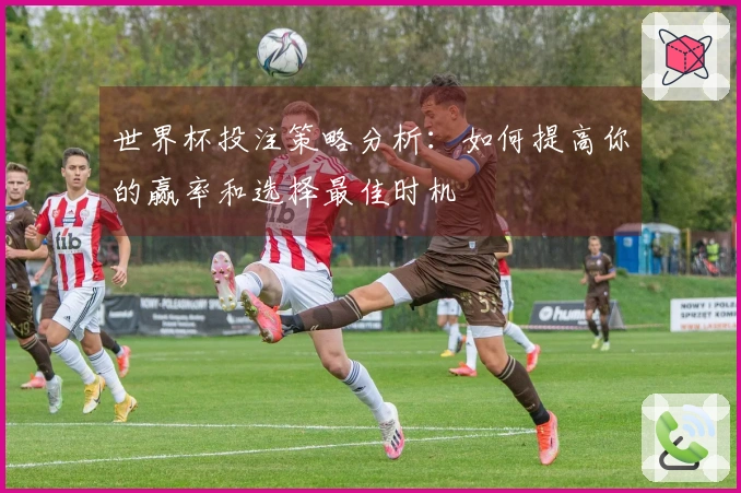 世界杯投注策略分析：如何提高你的赢率和选择最佳时机
