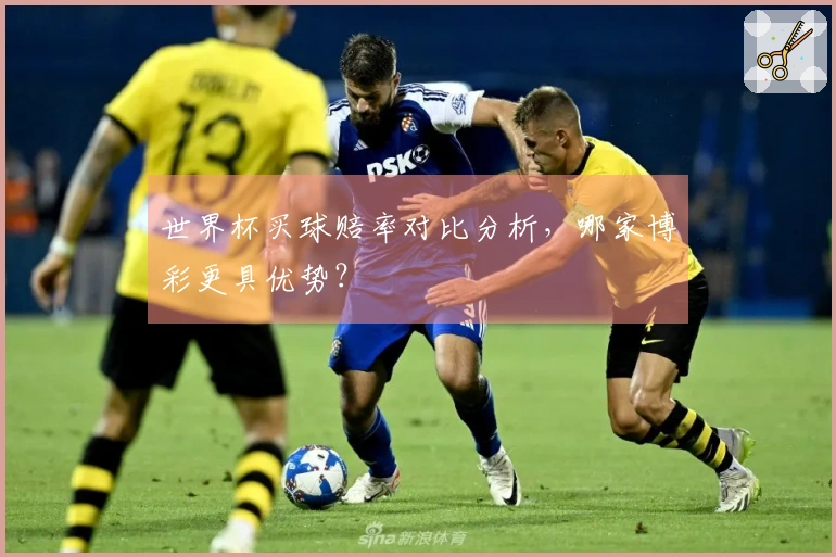 世界杯买球赔率对比分析，哪家博彩更具优势？