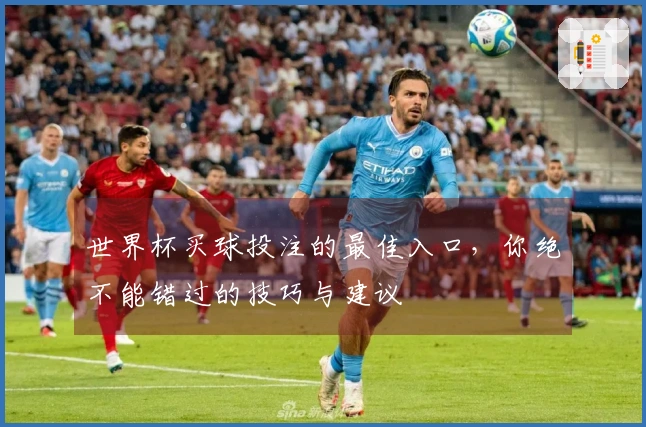 世界杯买球投注的最佳入口，你绝不能错过的技巧与建议