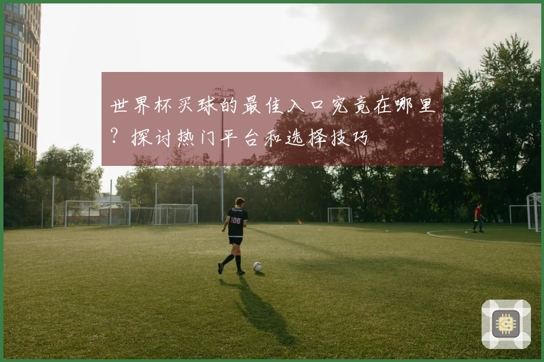 世界杯买球的最佳入口究竟在哪里？探讨热门平台和选择技巧
