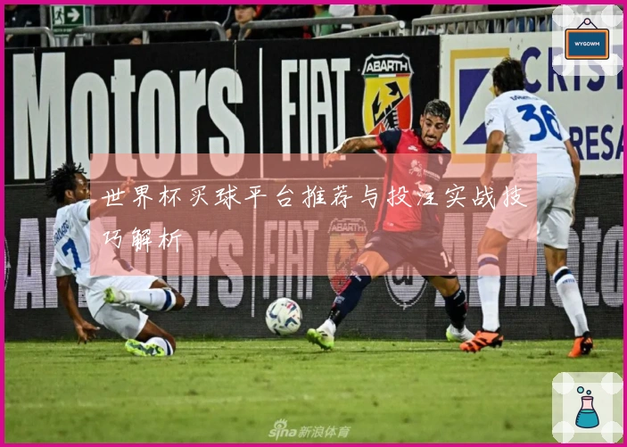 世界杯买球平台推荐与投注实战技巧解析