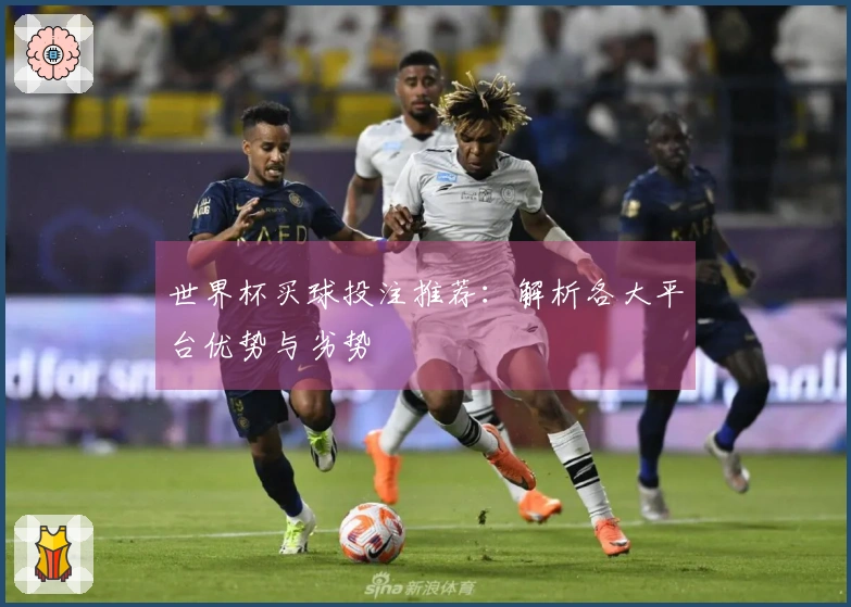 世界杯买球投注推荐：解析各大平台优势与劣势