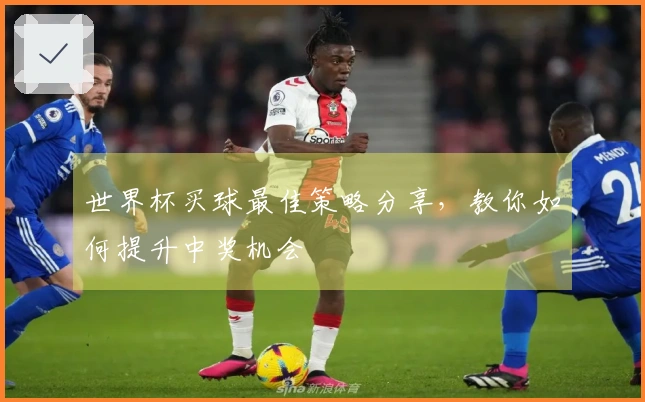 世界杯买球最佳策略分享，教你如何提升中奖机会