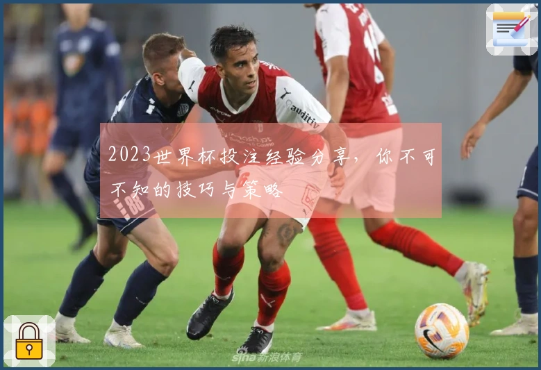 2023世界杯投注经验分享，你不可不知的技巧与策略