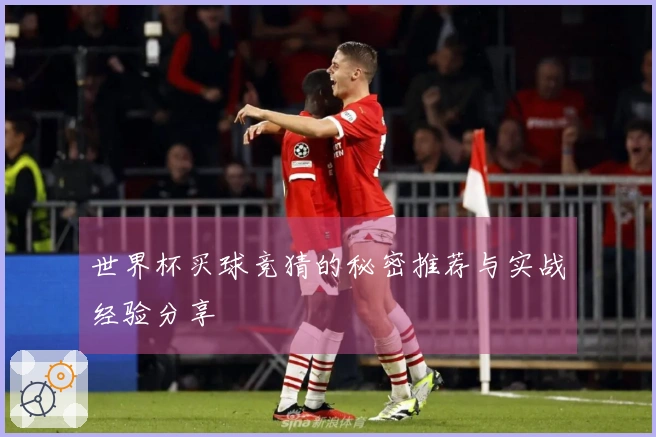 世界杯买球竞猜的秘密推荐与实战经验分享