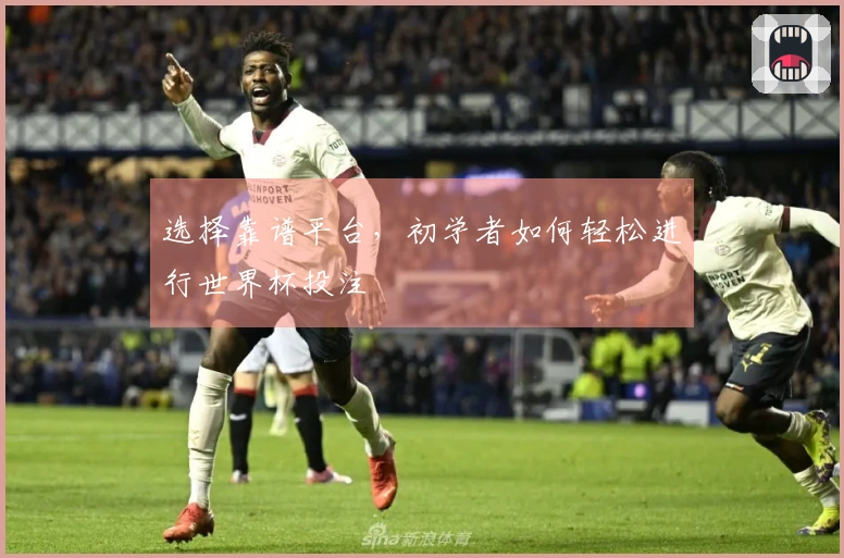 选择靠谱平台，初学者如何轻松进行世界杯投注